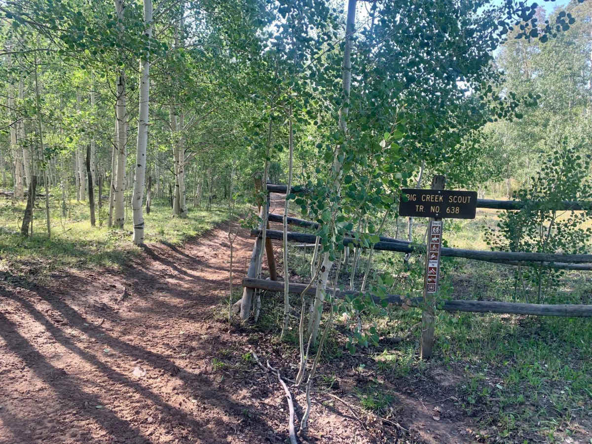 Big Creek Scout Trail trail photo
