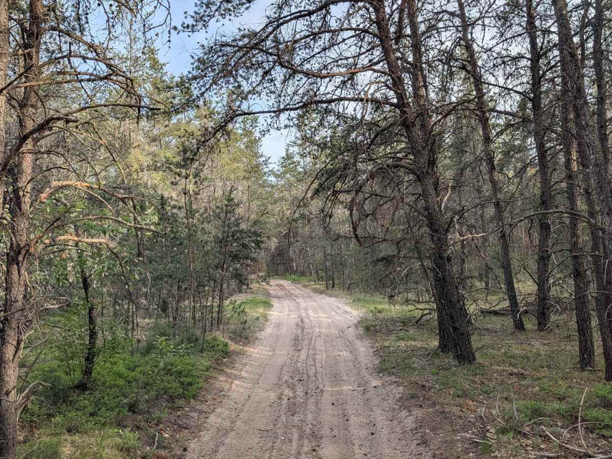Little Canyon Creek Trail photo 4
