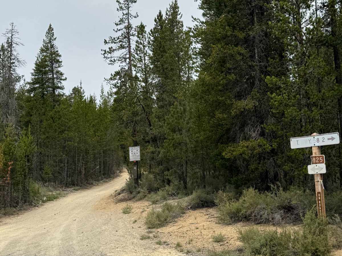 FS 5825-000 trail photo