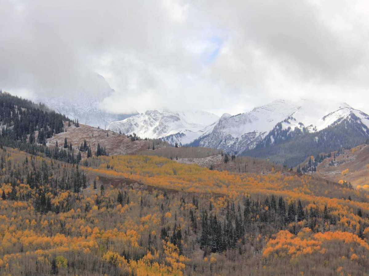 Capitol Creek Road trail photo