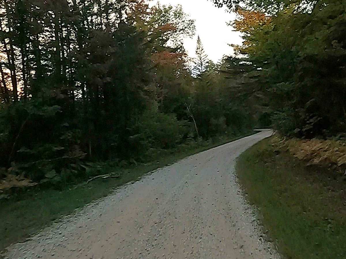 Carp River Road - FS 3308  photo 5