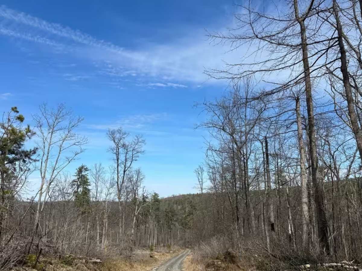 Thompson Hollow Road  photo 3