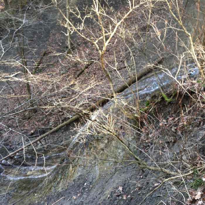 Near Trail 2