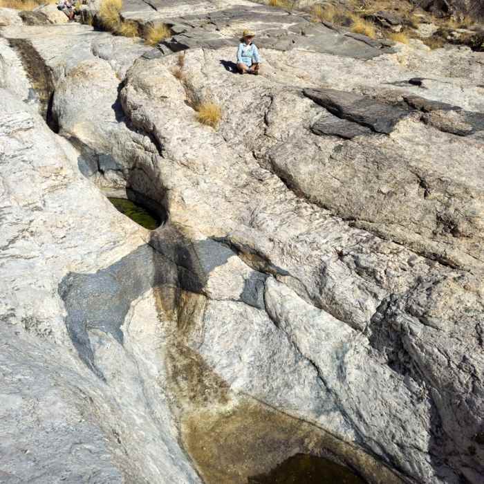 Near Ventana Trail #98