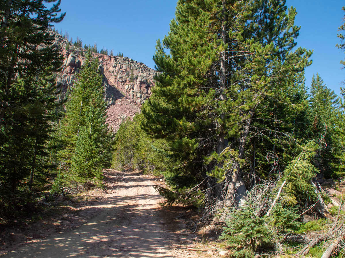 South Fork Rock Creek - FS 10143 photo 6