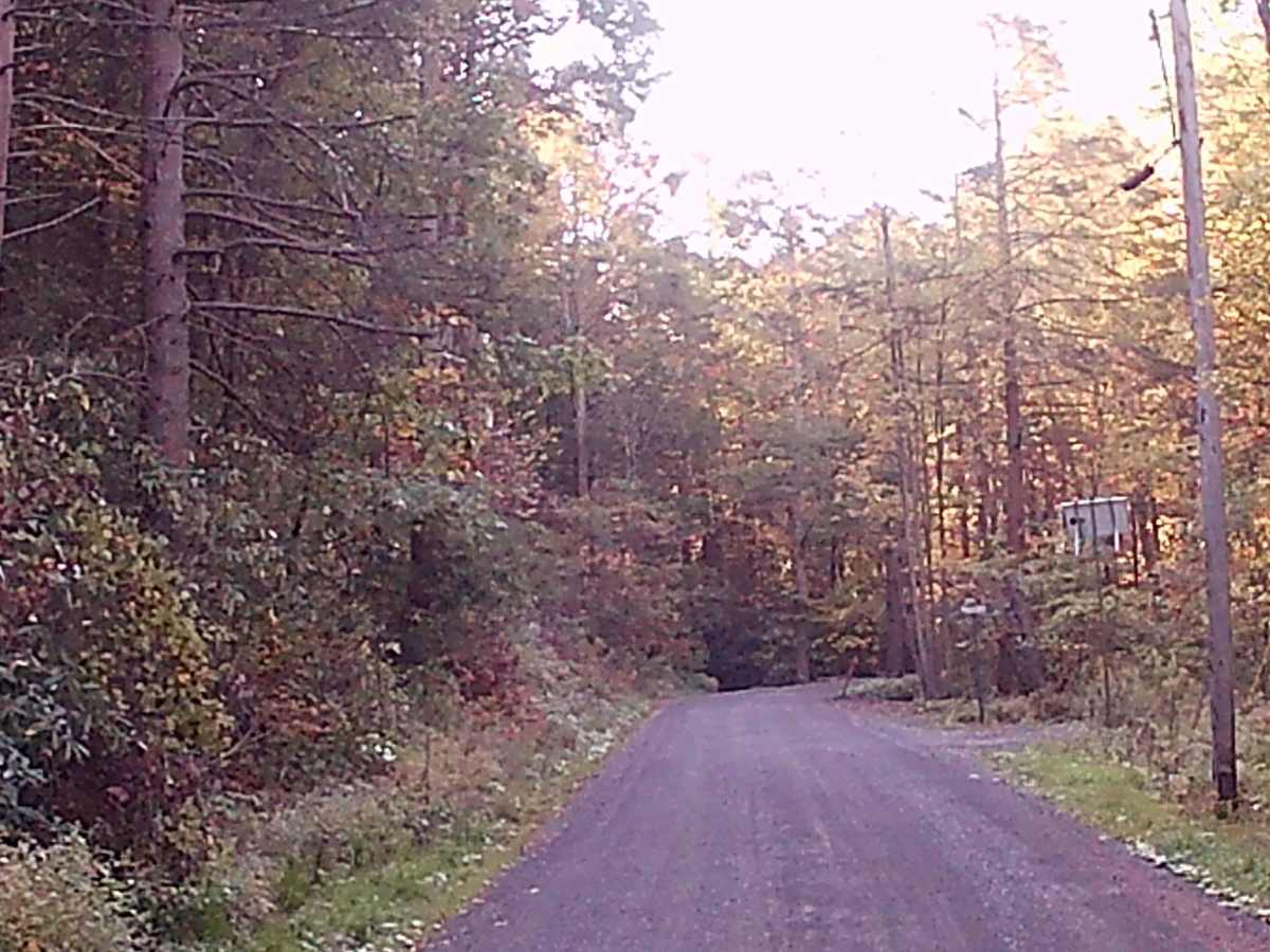 Lingle Valley Road photo 2