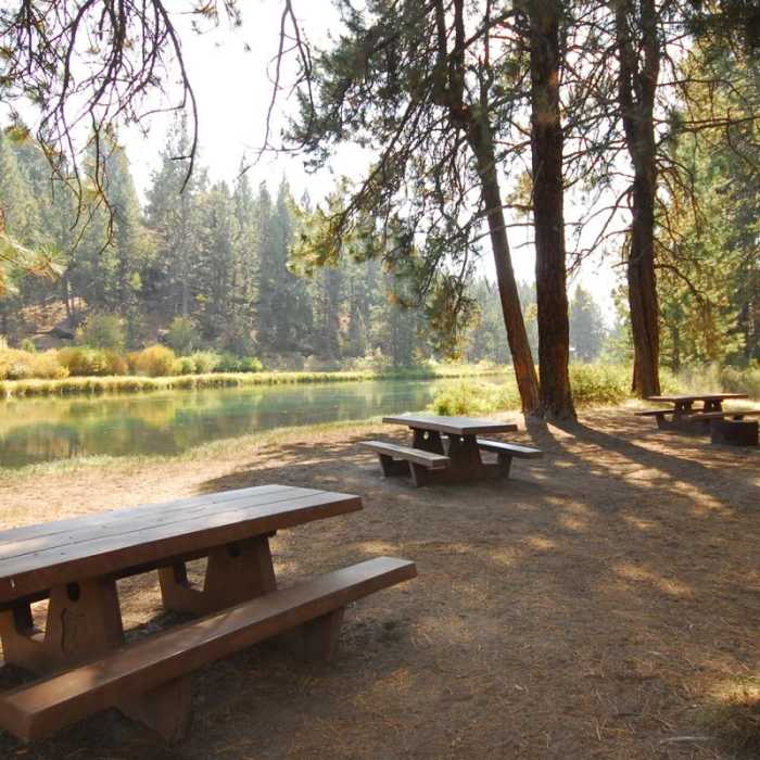 Near Deschutes River Trail, Upper Reach Hiking Trail