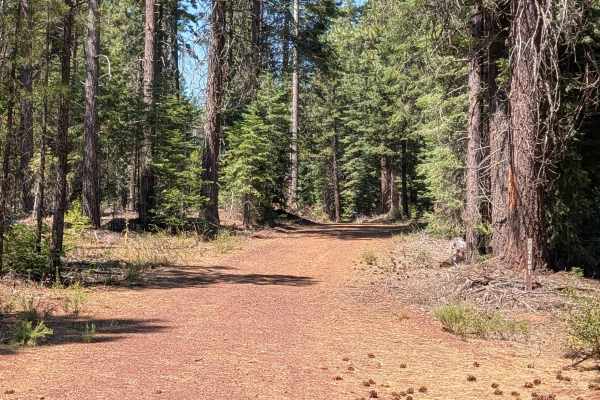 Porcupine Lake - FS 41N01