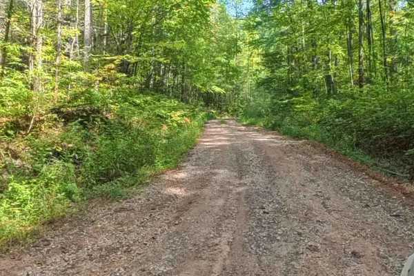Chester Knob Upper Trail
