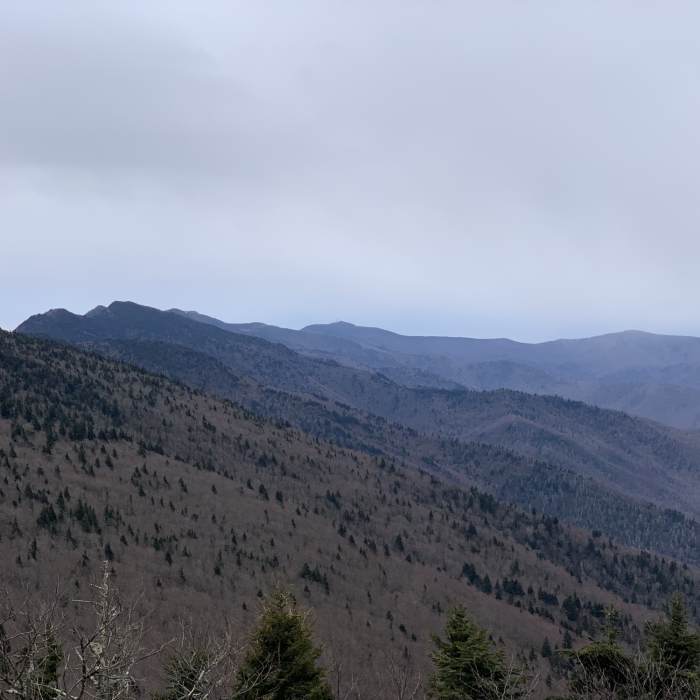 Near Winterstar Trail to Horse Rock Bald