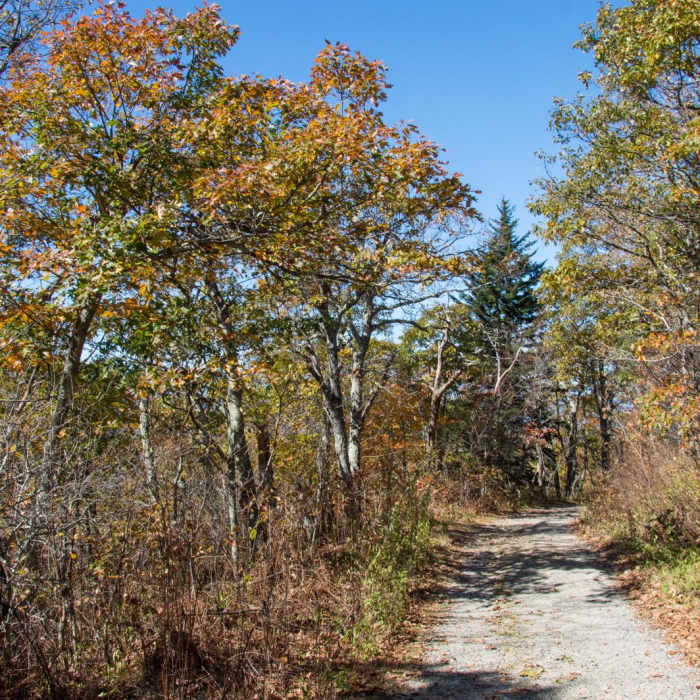 Near Frying Pan Lookout Tower Near Frying Pan Lookout Tower