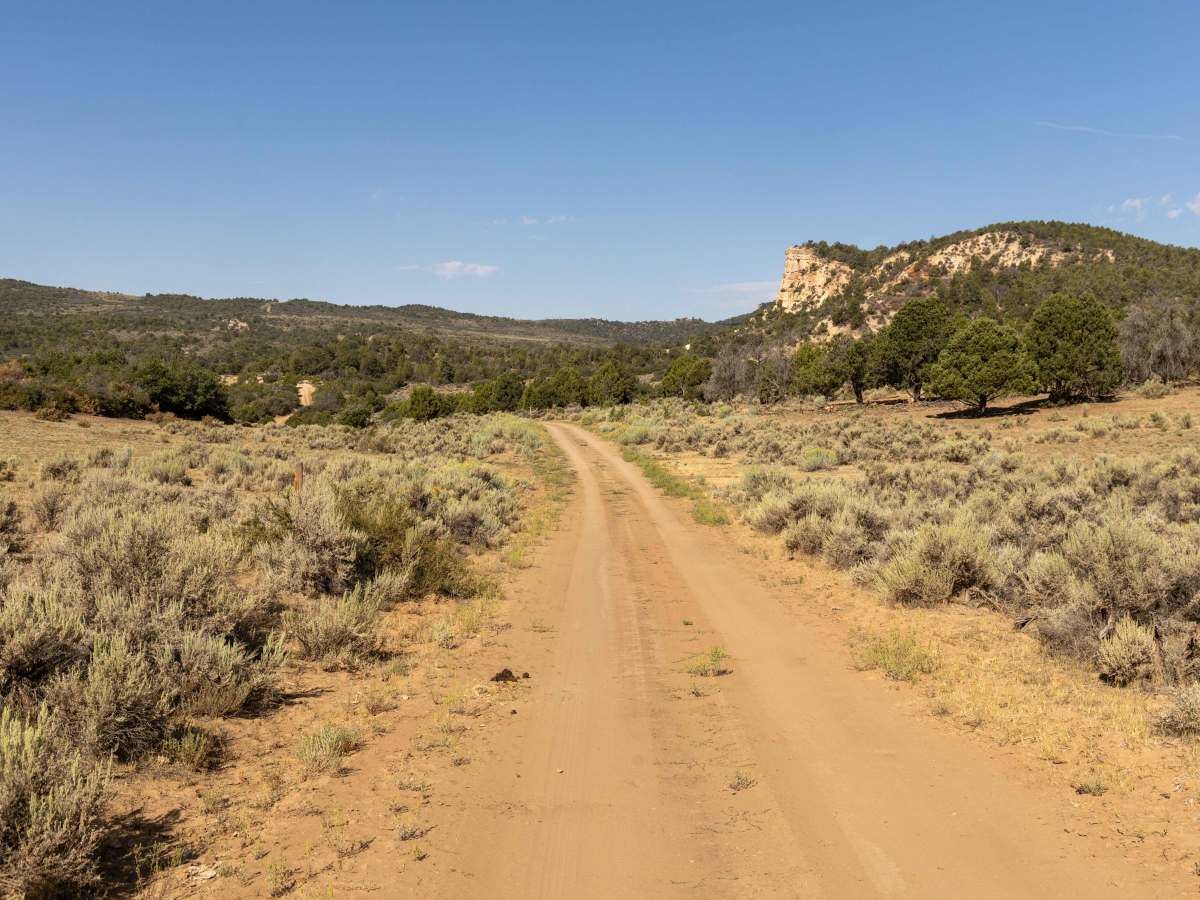 Dry Fork photo 4
