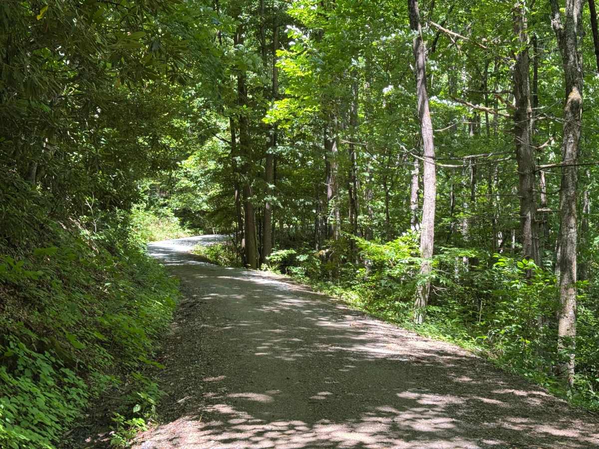 Flat Creek - FS 4662 photo 6