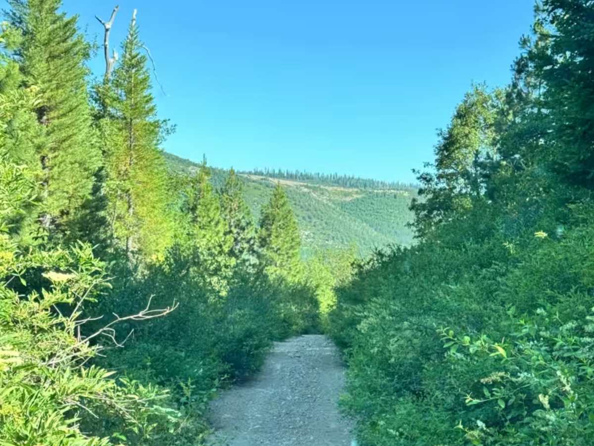 Red Star Ridge - FS 57 photo 6