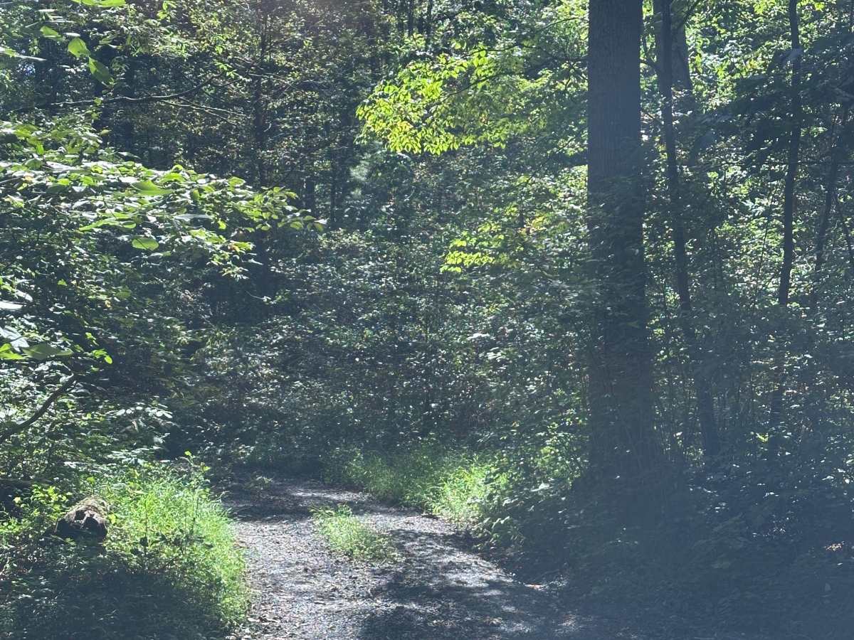 Duncan Hollow photo 2