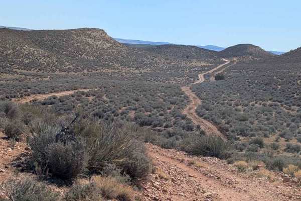 Swiss Canyon - BLM 2015-M2016