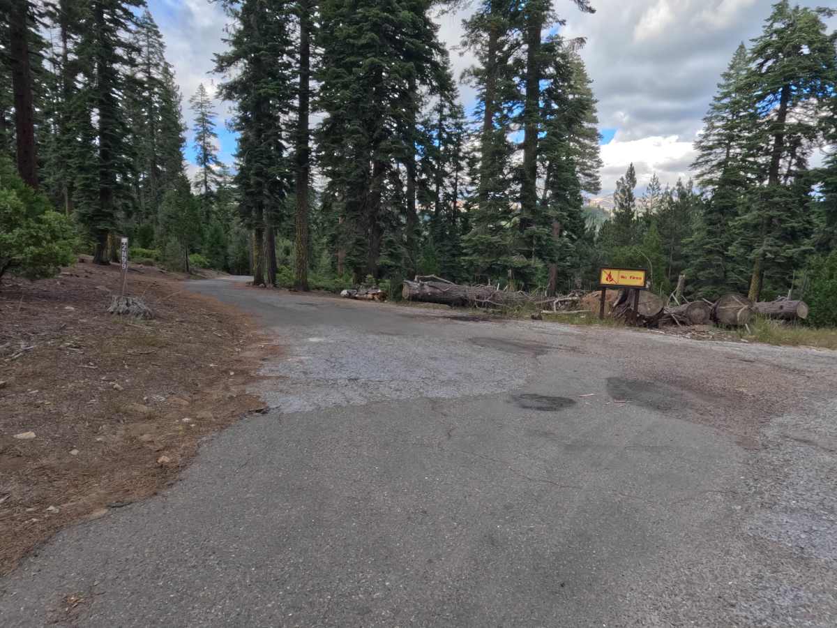 Frisco -  FS 12N99 photo 2