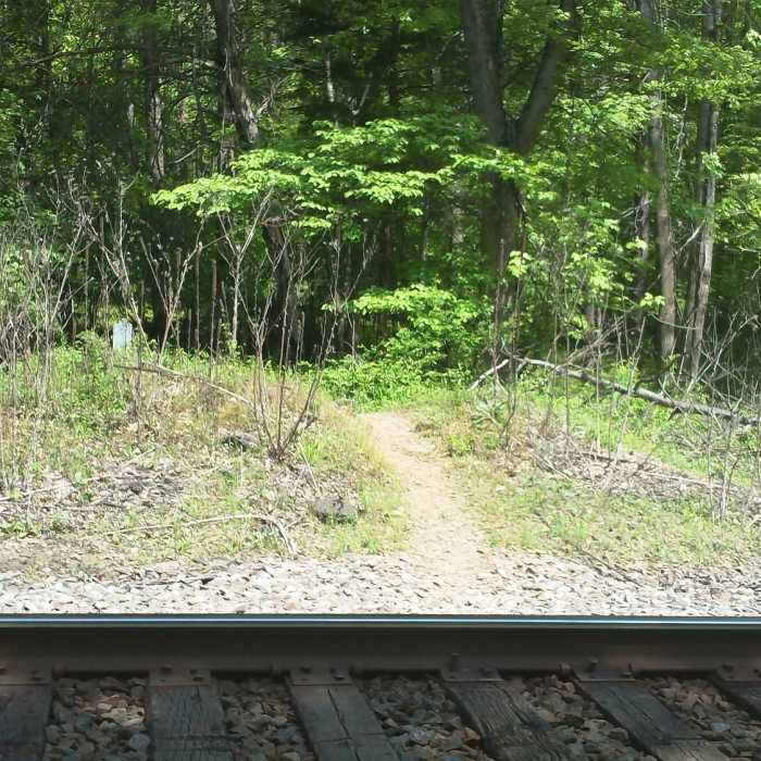 Near Fern Hollow Loop