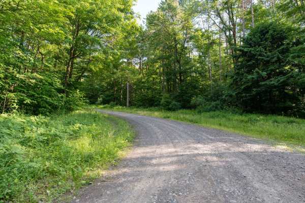 Truck Trail 1