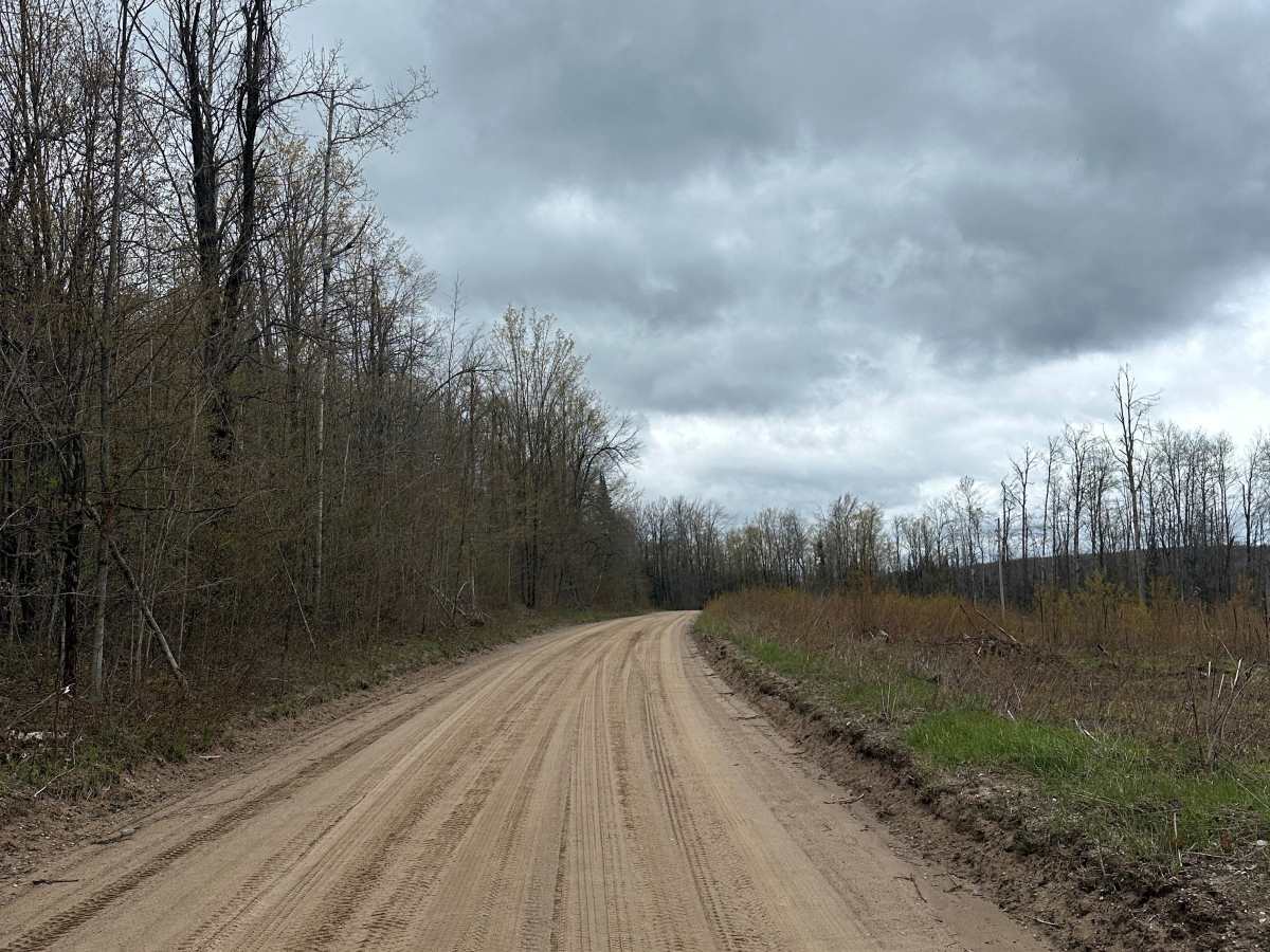 North Kolka Creek Road photo 6