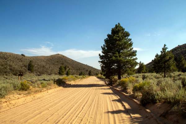 Yellowstone Loop - FS10119