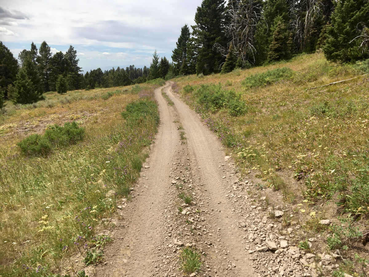 Alex Draw to McGary Canyon ATV Trail trail photo