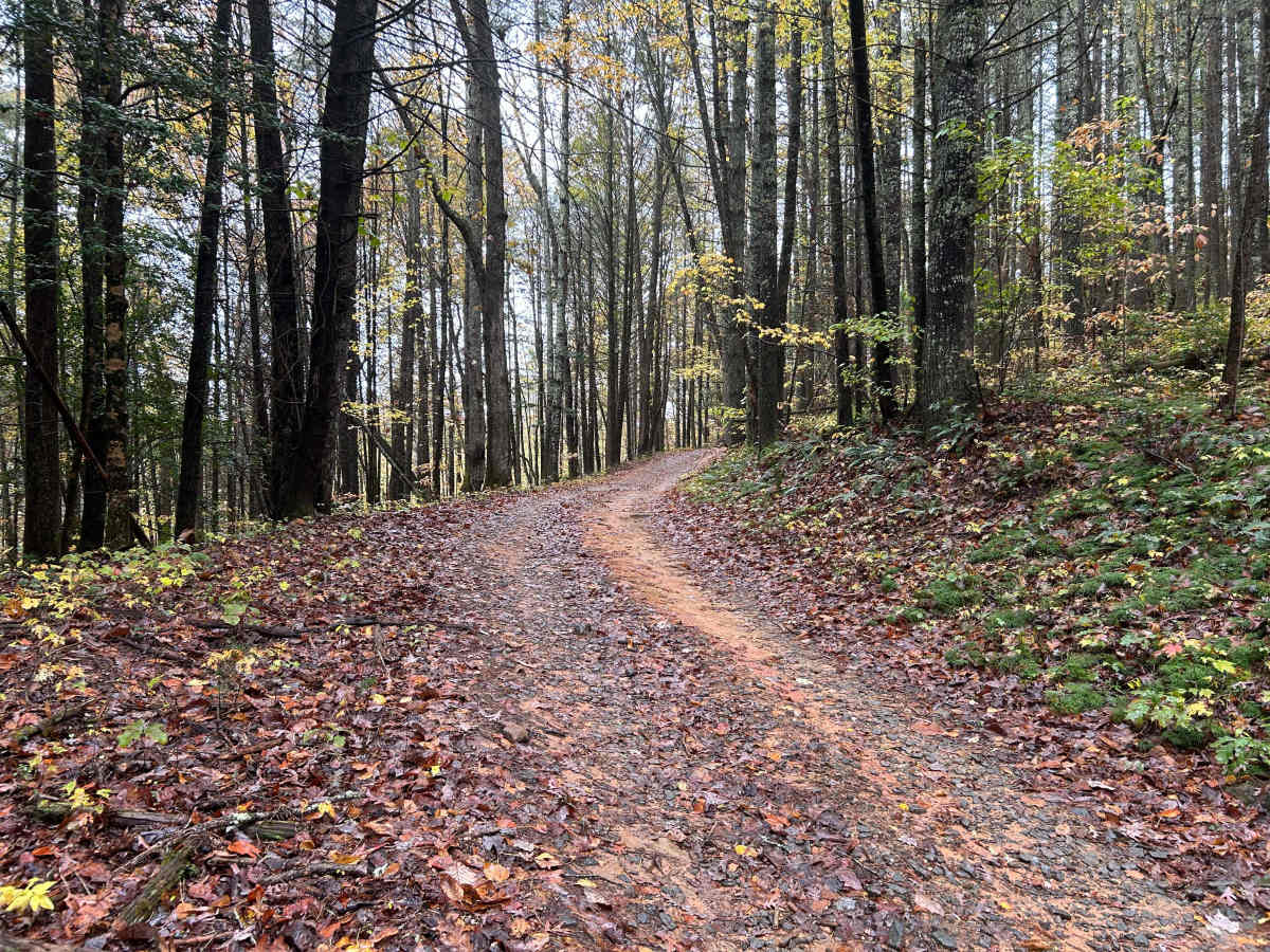 Toccoa River Road - FS 333 photo 3