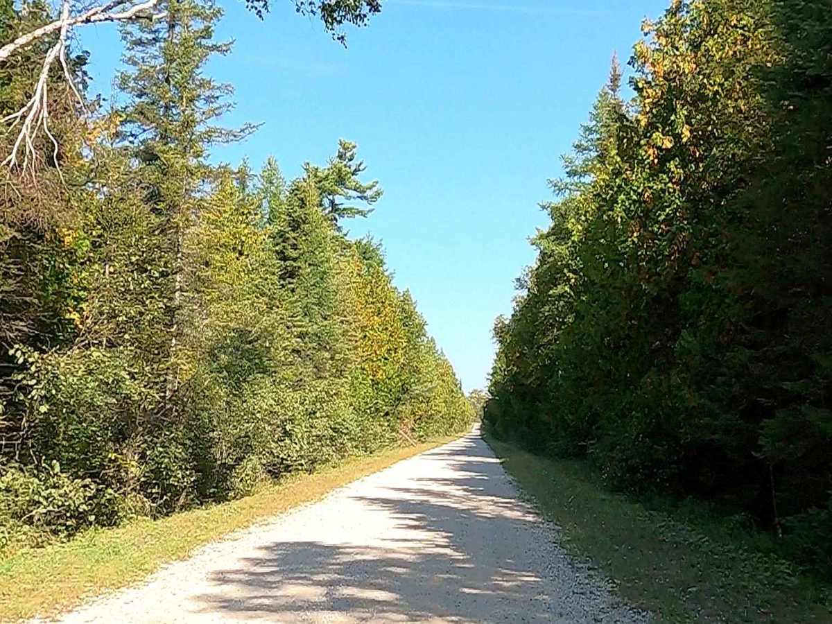 North Service Road - FS 3425 photo 6