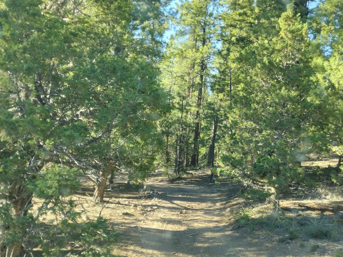 Lava Camp Road photo 4