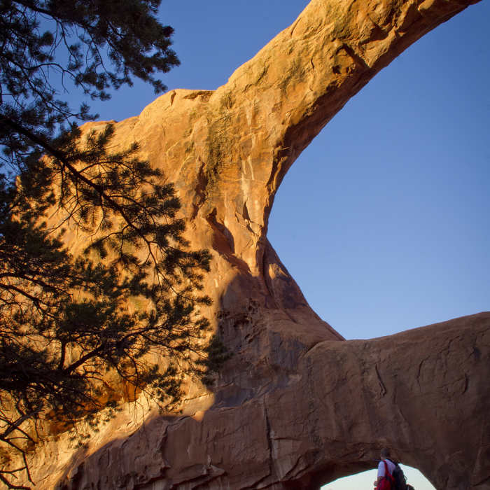 Near Dark Angel Trail