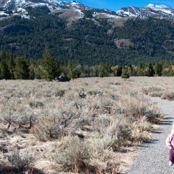 Near Fall Creek Falls