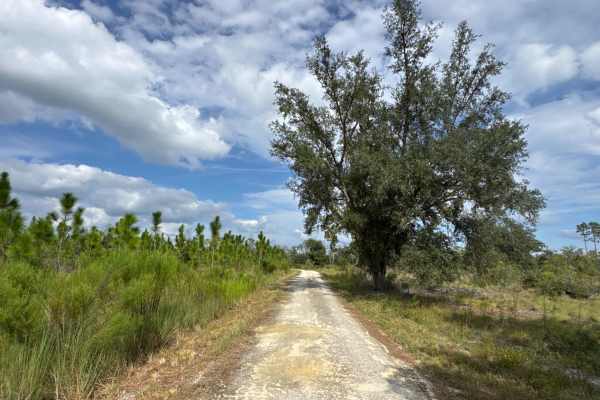 Quail Road