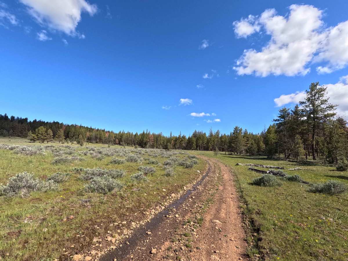 Trail 44 photo 3
