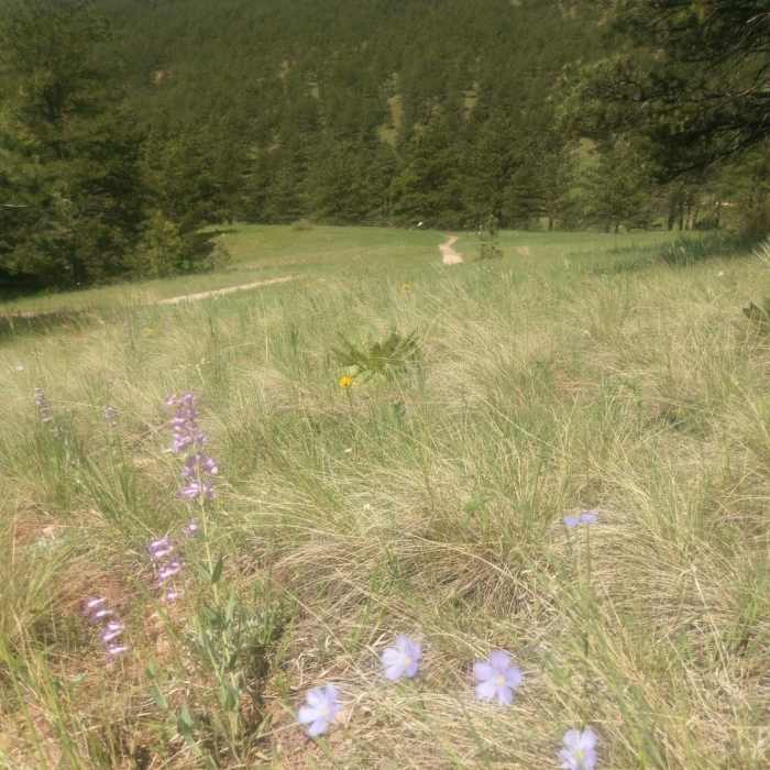 Near Grindstone Quarry Trail