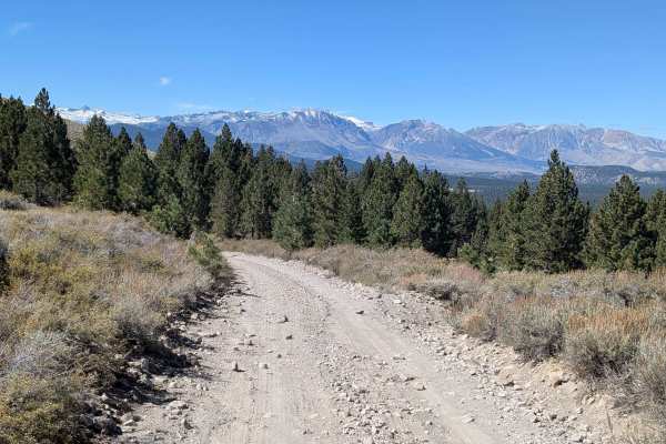 Bald Mountain - FS 32E604-SNO