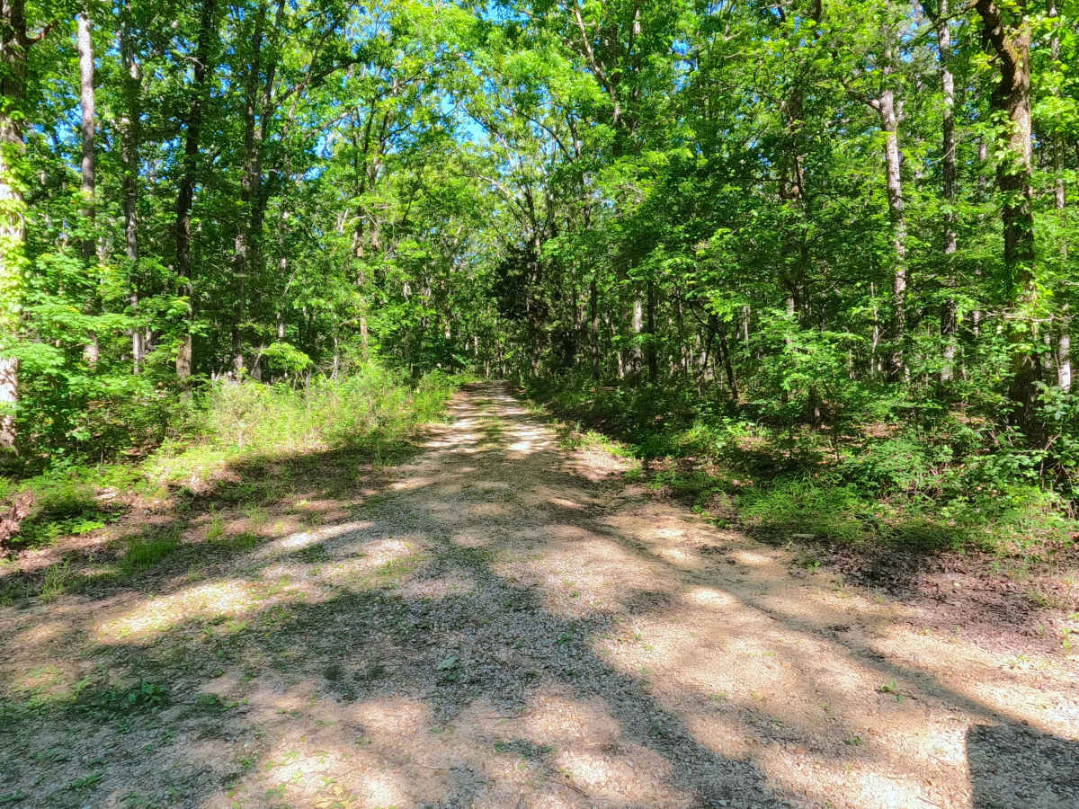 Harmon Ridge - FS 3712 photo 3