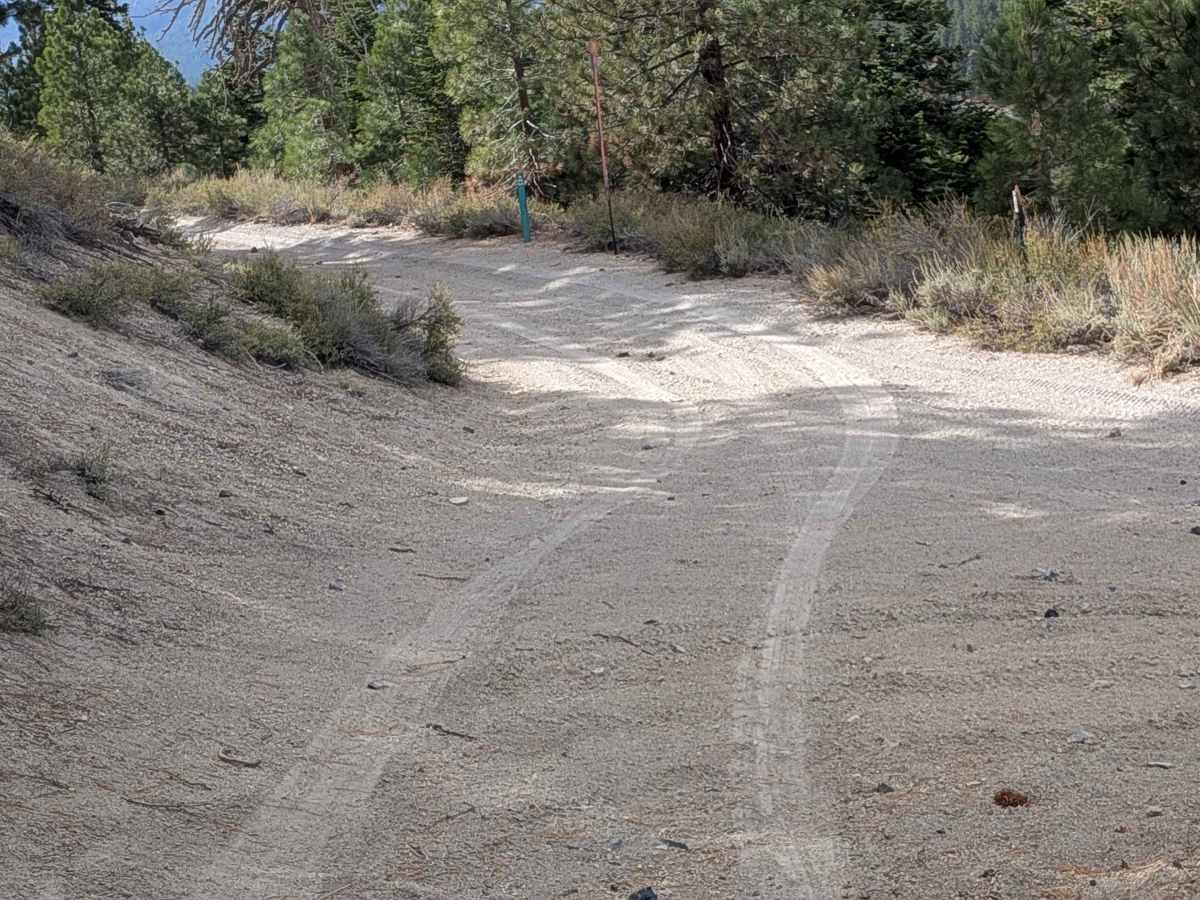 Lookout Mountain Lateral - FS 2S87 photo 3