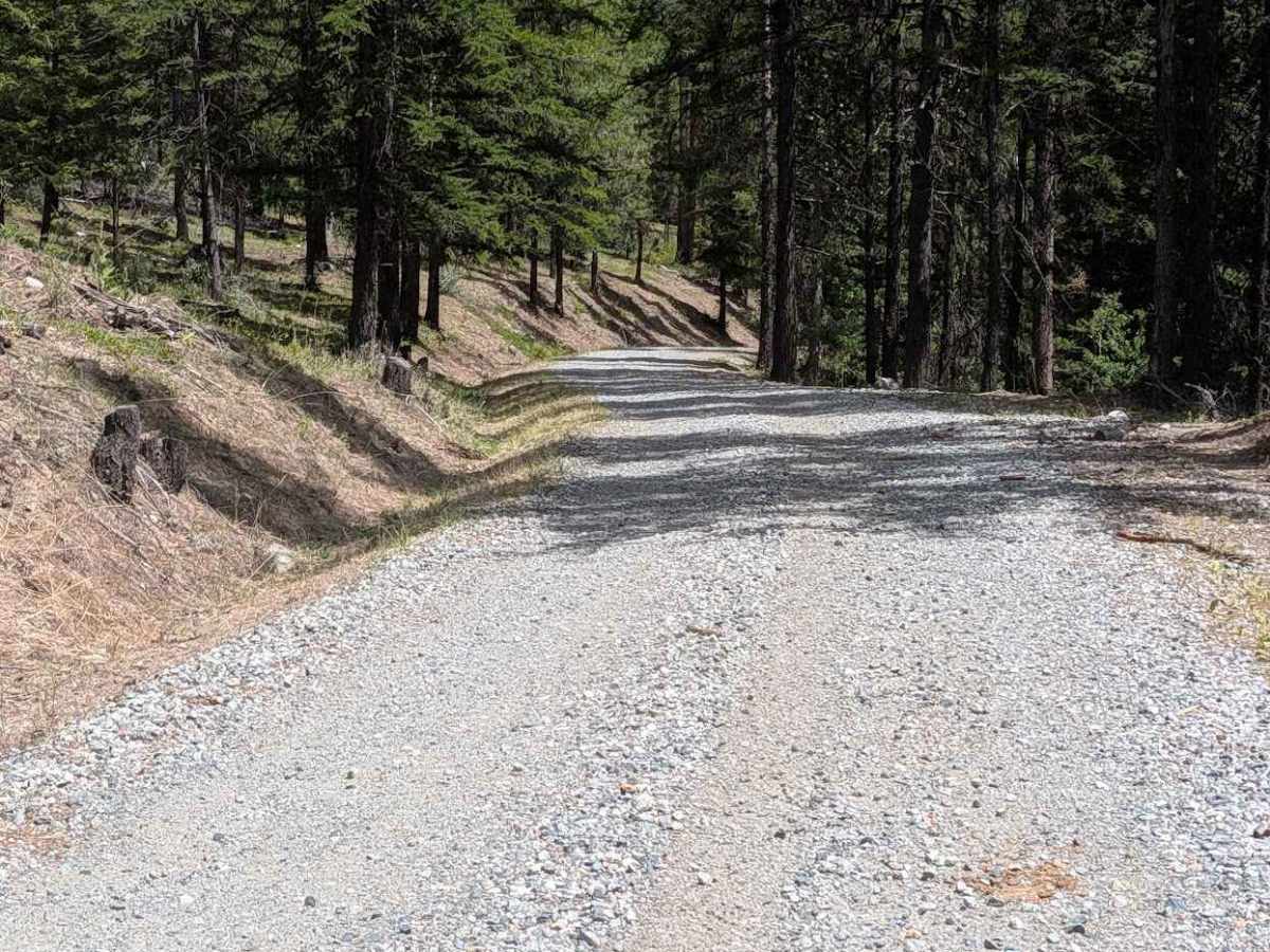 Sarsapkin Road photo 4