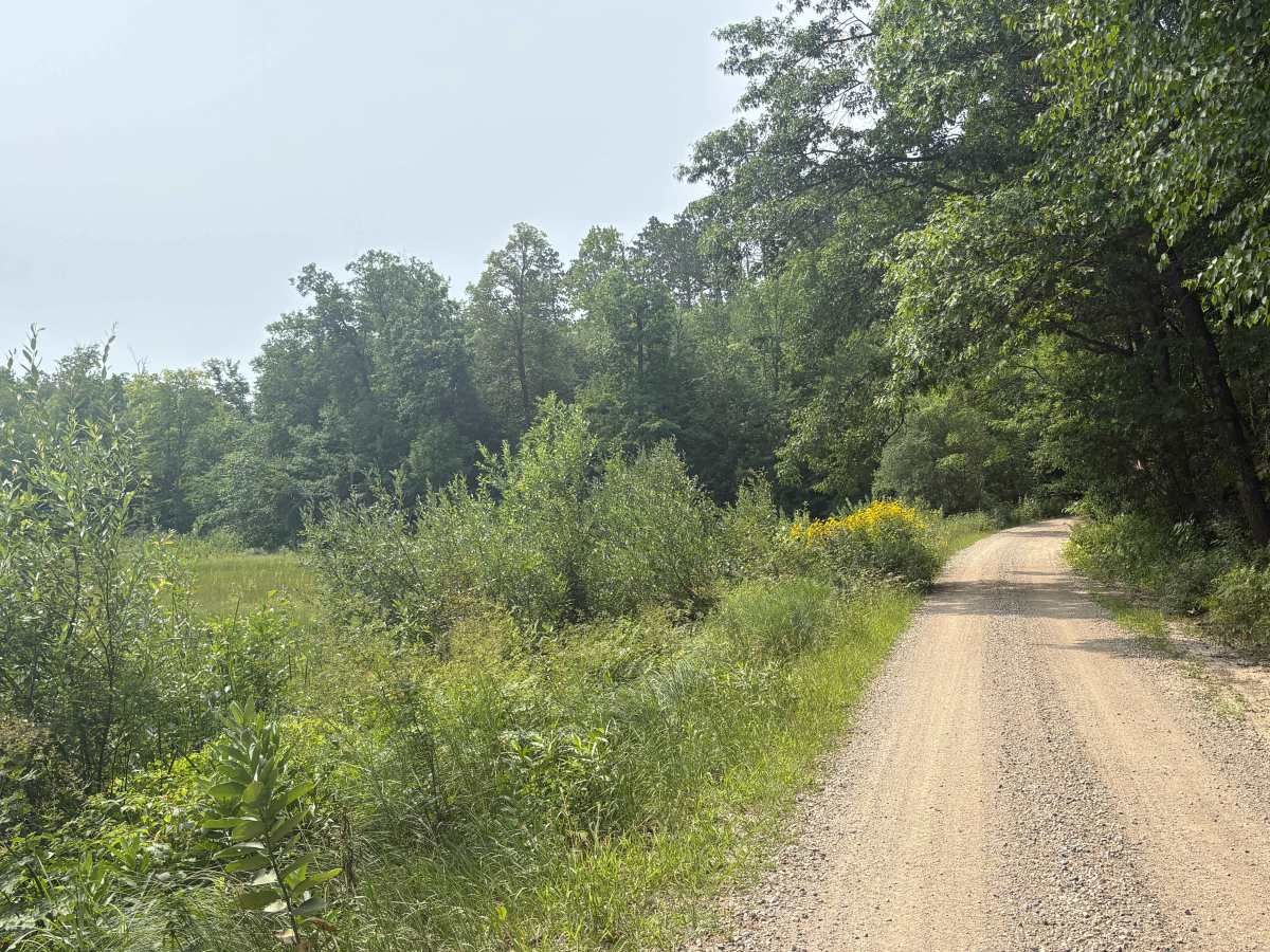 Smokey Hills Road photo 3