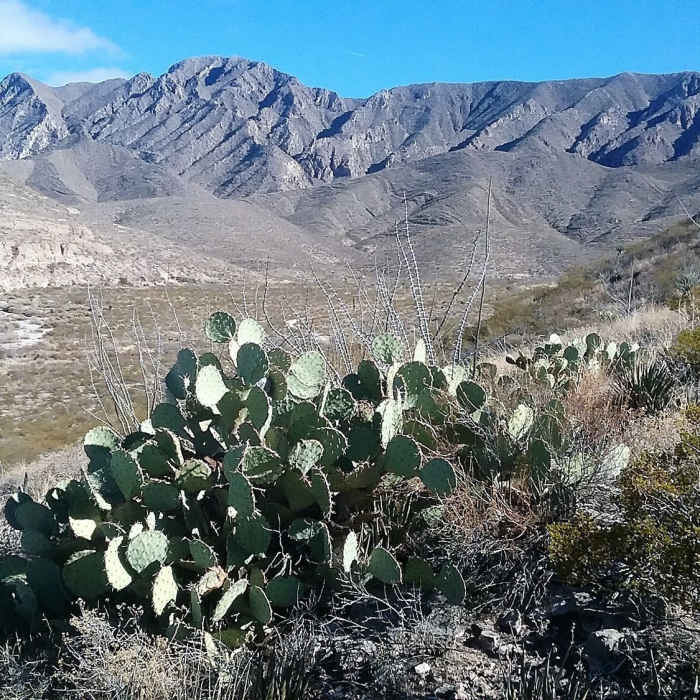 Looking east from the trail Near Sunset Loop