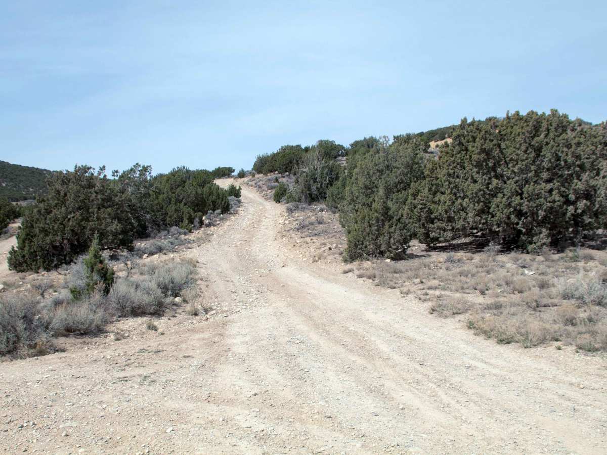 Soldier Pass Spur Trail trail photo