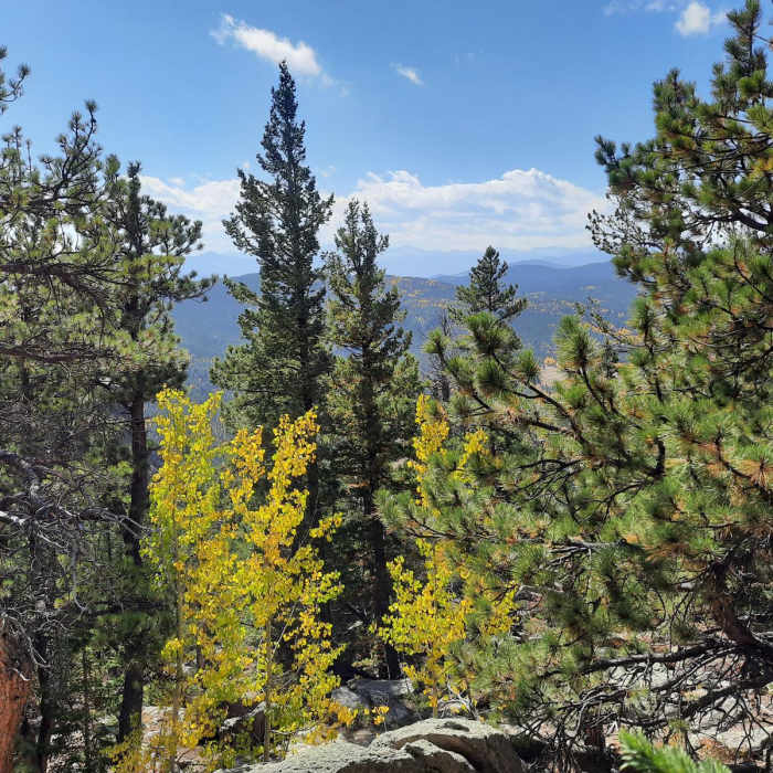 Near Black Bear - Horseshoe Loop