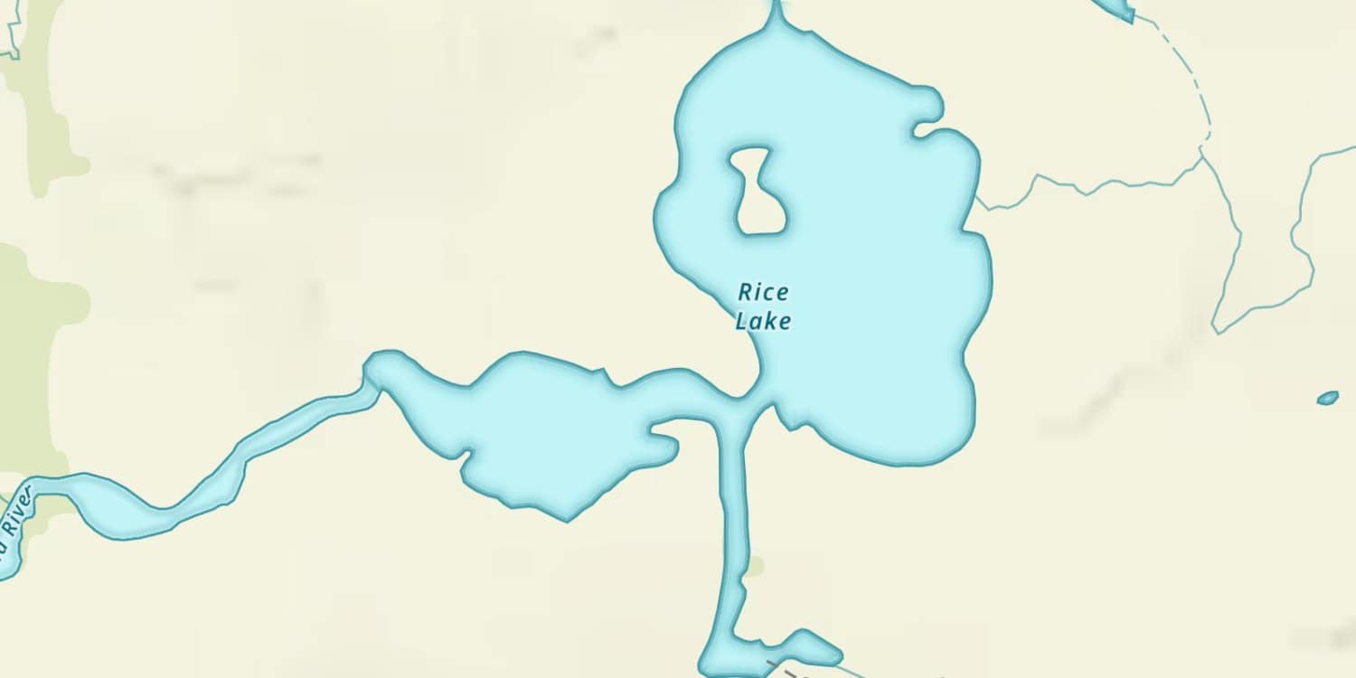 Rice Lake