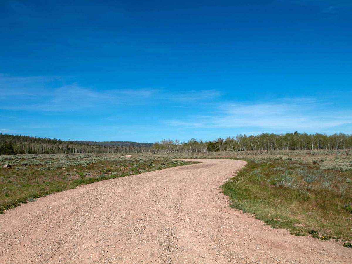 Cottonwood - FS 40013 photo 6