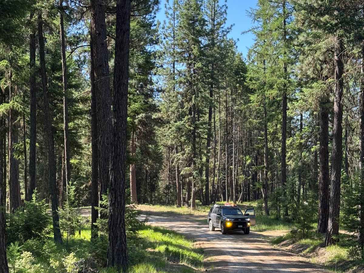 Mayo Gulch  trail photo