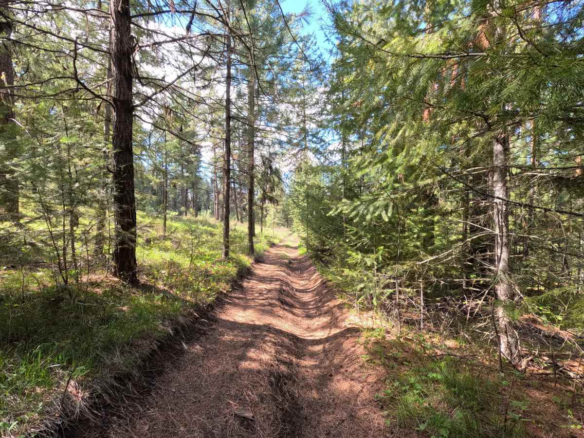 Trail 78 photo 2