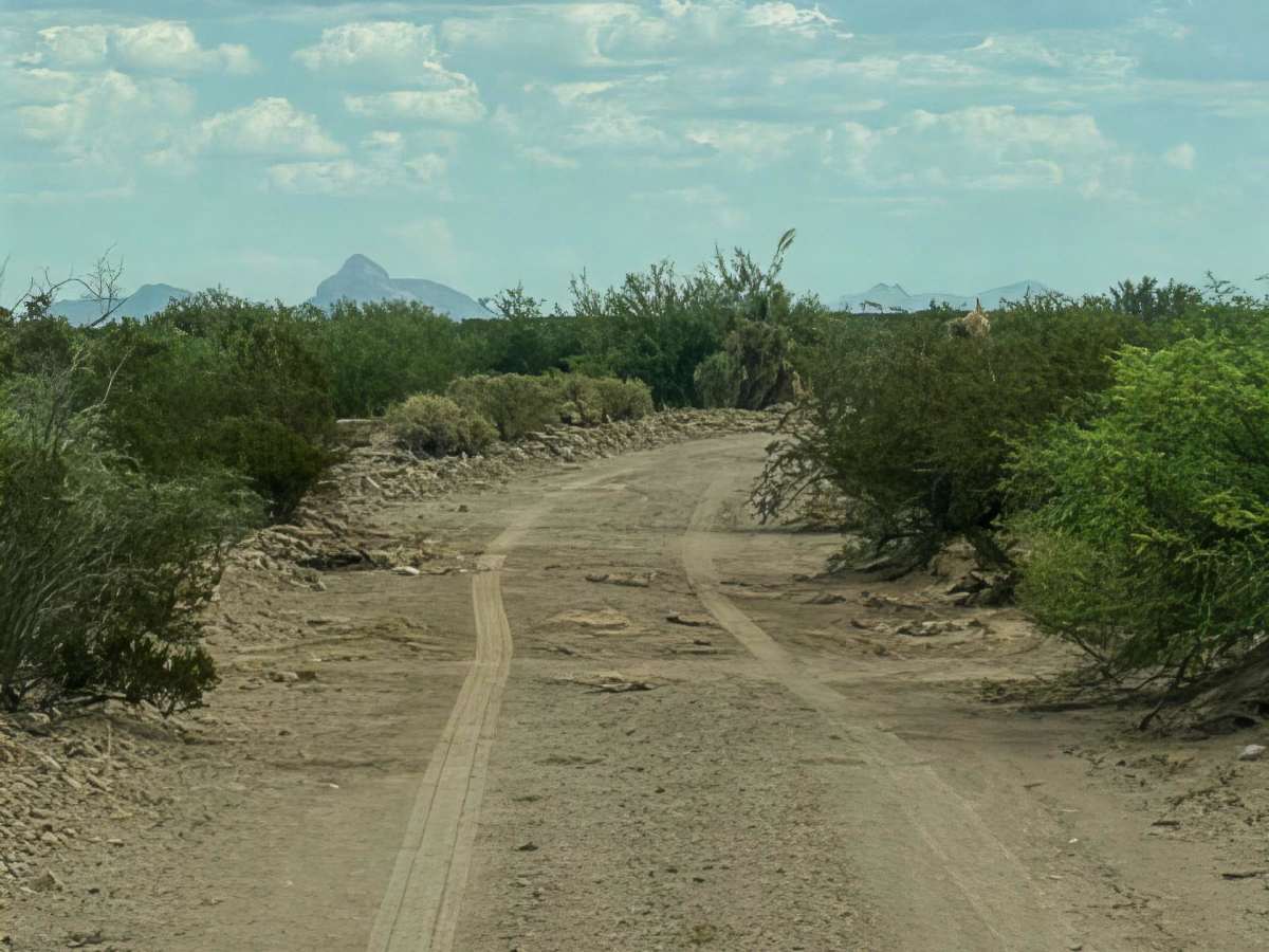 SS1157 photo 6