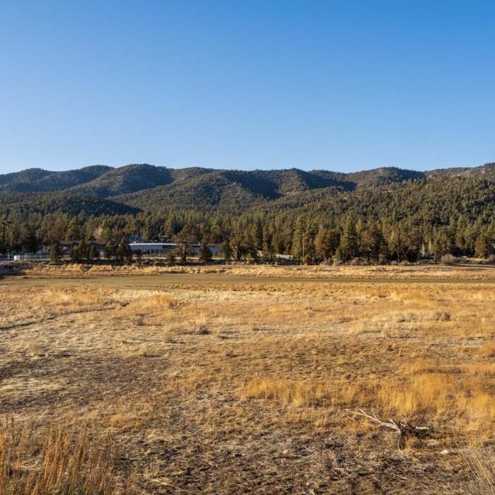 Near Stanfield Marsh Boardwalk