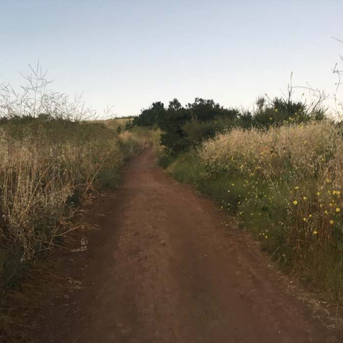 Near Santiago Creek to Robber's Roost