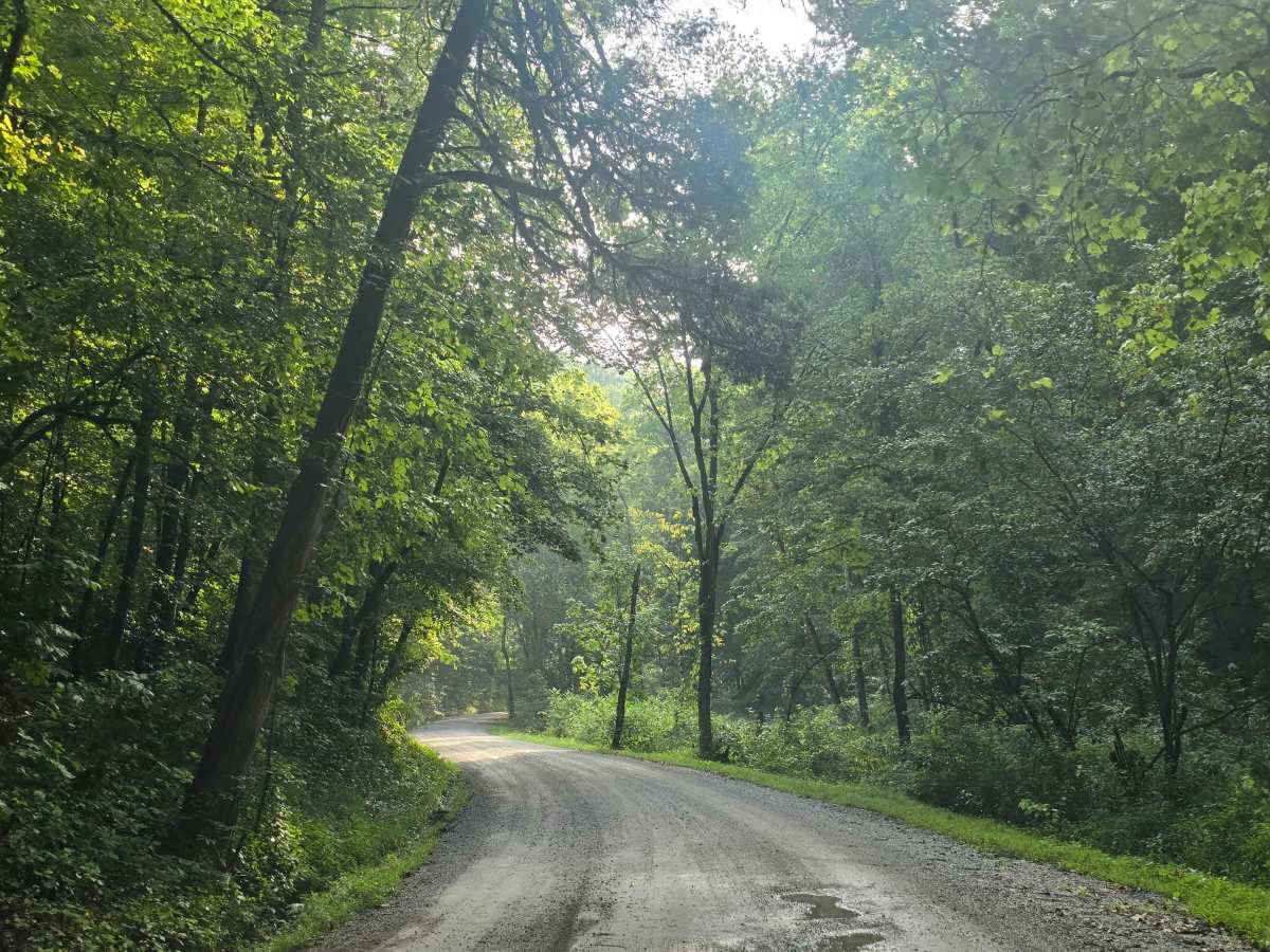 Lower Creek Road photo 3